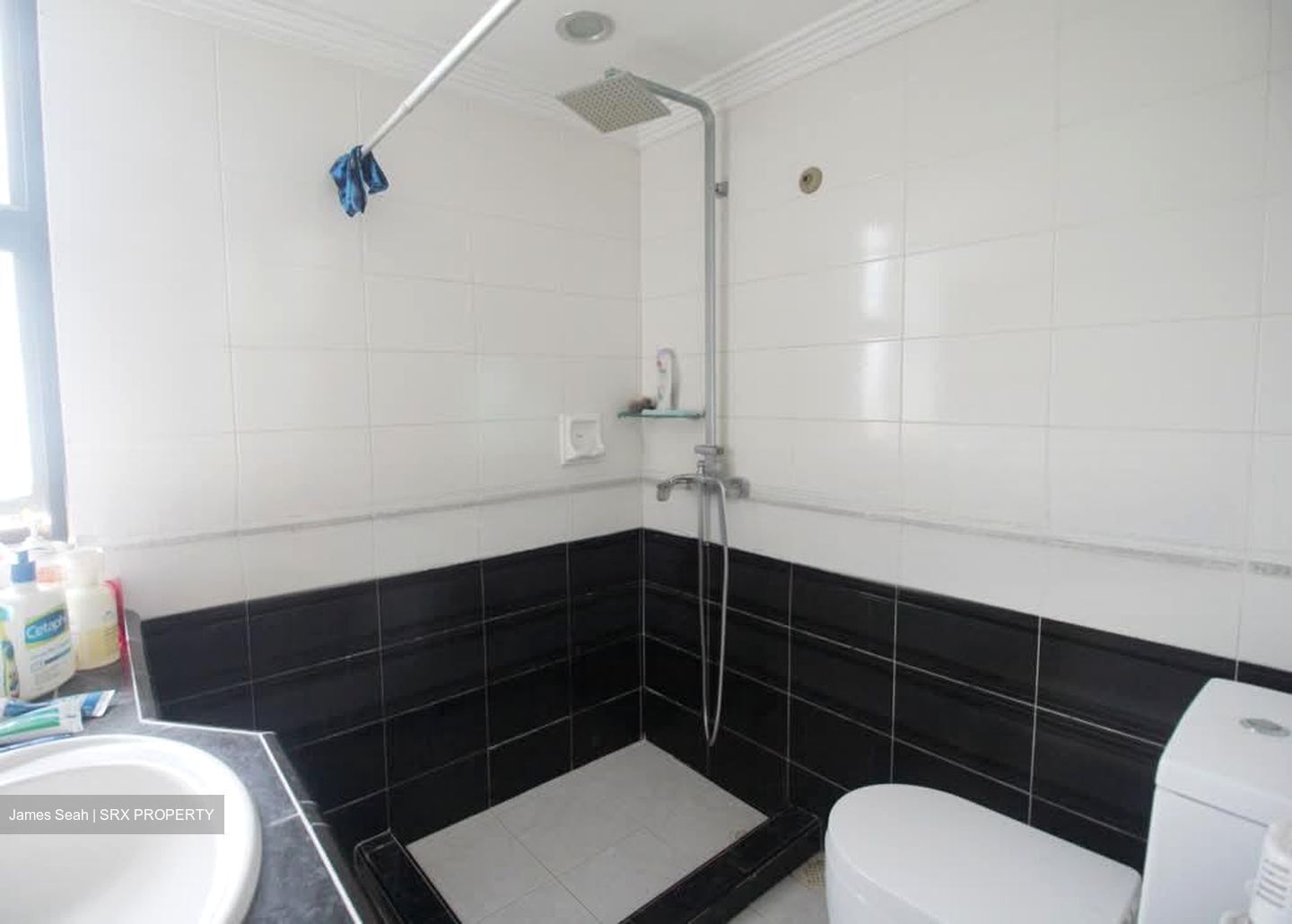 Pandan Valley (D21), Condominium #567096201